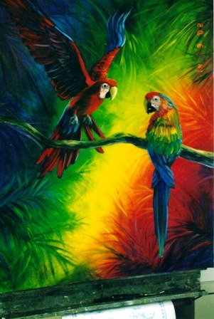 [ Exotic Birds ]