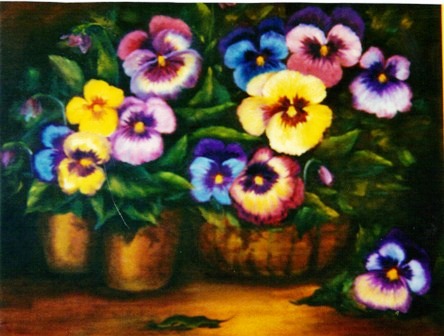 [  Pansies]