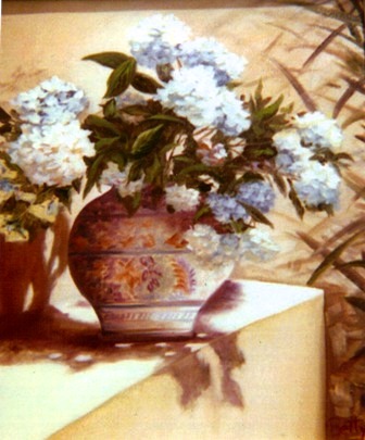 [ Hydrangeas  ]