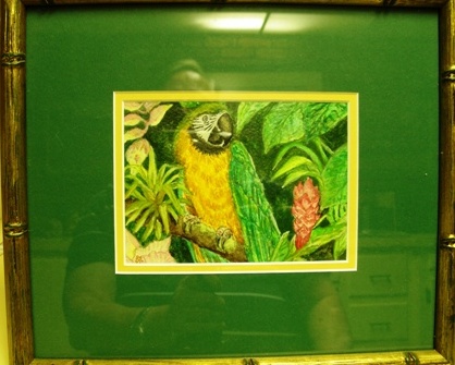 [     Parrot with Bambo Frame     ]